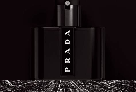 black prada fragrance|is prada black discontinued.